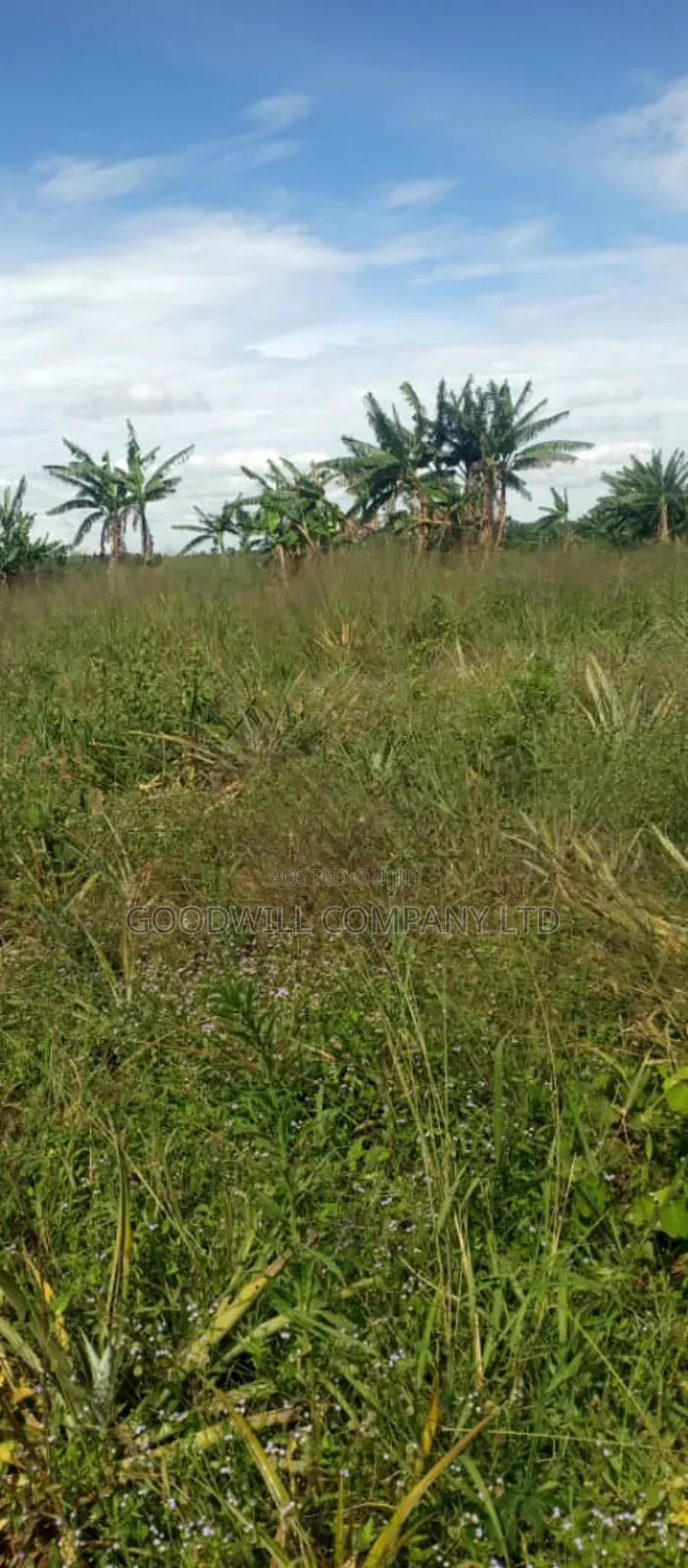 100 Acres of Land in Kamira Kikyuusa Zirobwe Road