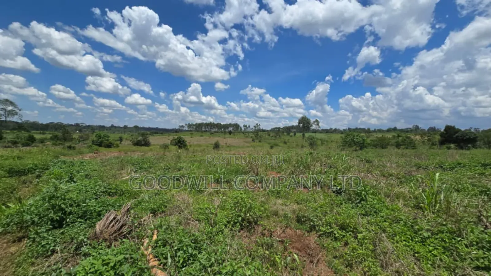 50 Acres of Land in Mukono Mpoma 4km Off Kayunga Road