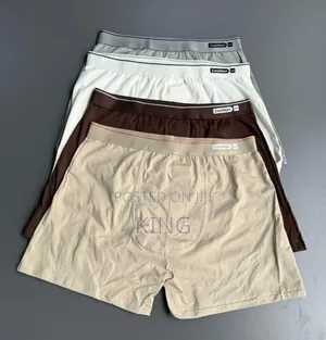 Decent Seamless Boxers