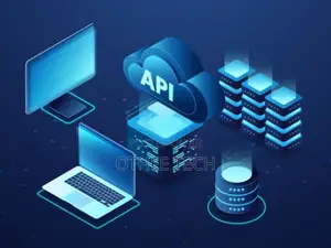 Api Integrations and SDK Development