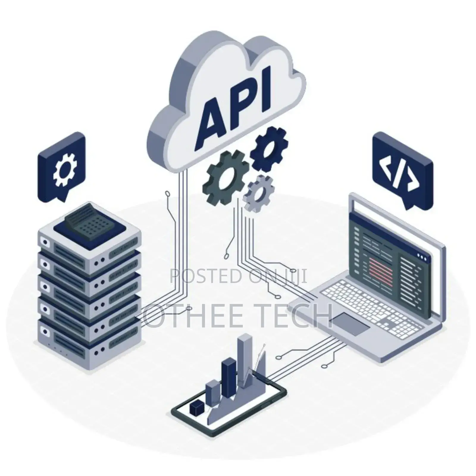 Api Integrations and SDK Development