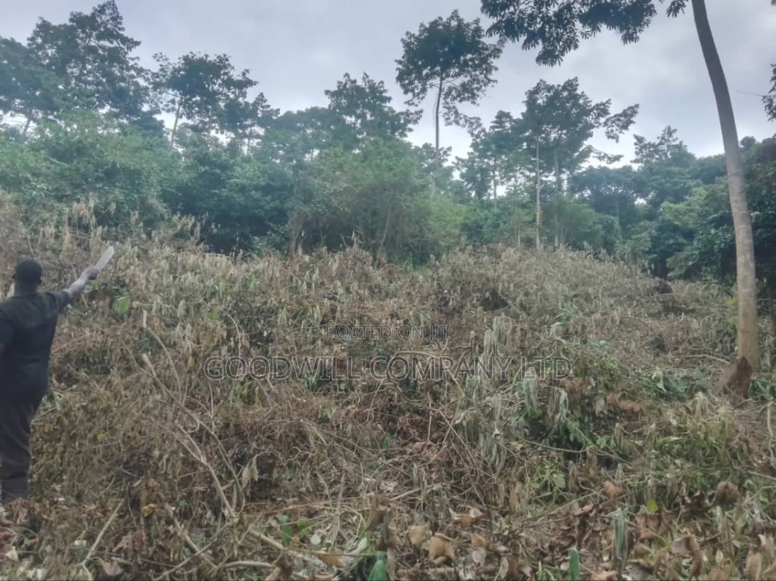 100 Acres of Land in Gaba -Ssi Nkokonjeru Private Milo Land Title