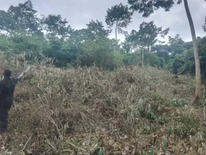 100 Acres of Land in Gaba -Ssi Nkokonjeru Private Milo Land Title