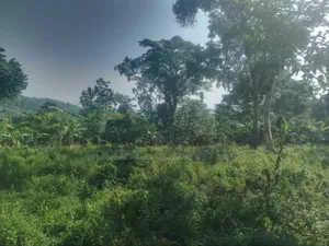 100 Acres of Land in Gaba -Ssi Nkokonjeru Private Milo Land Title