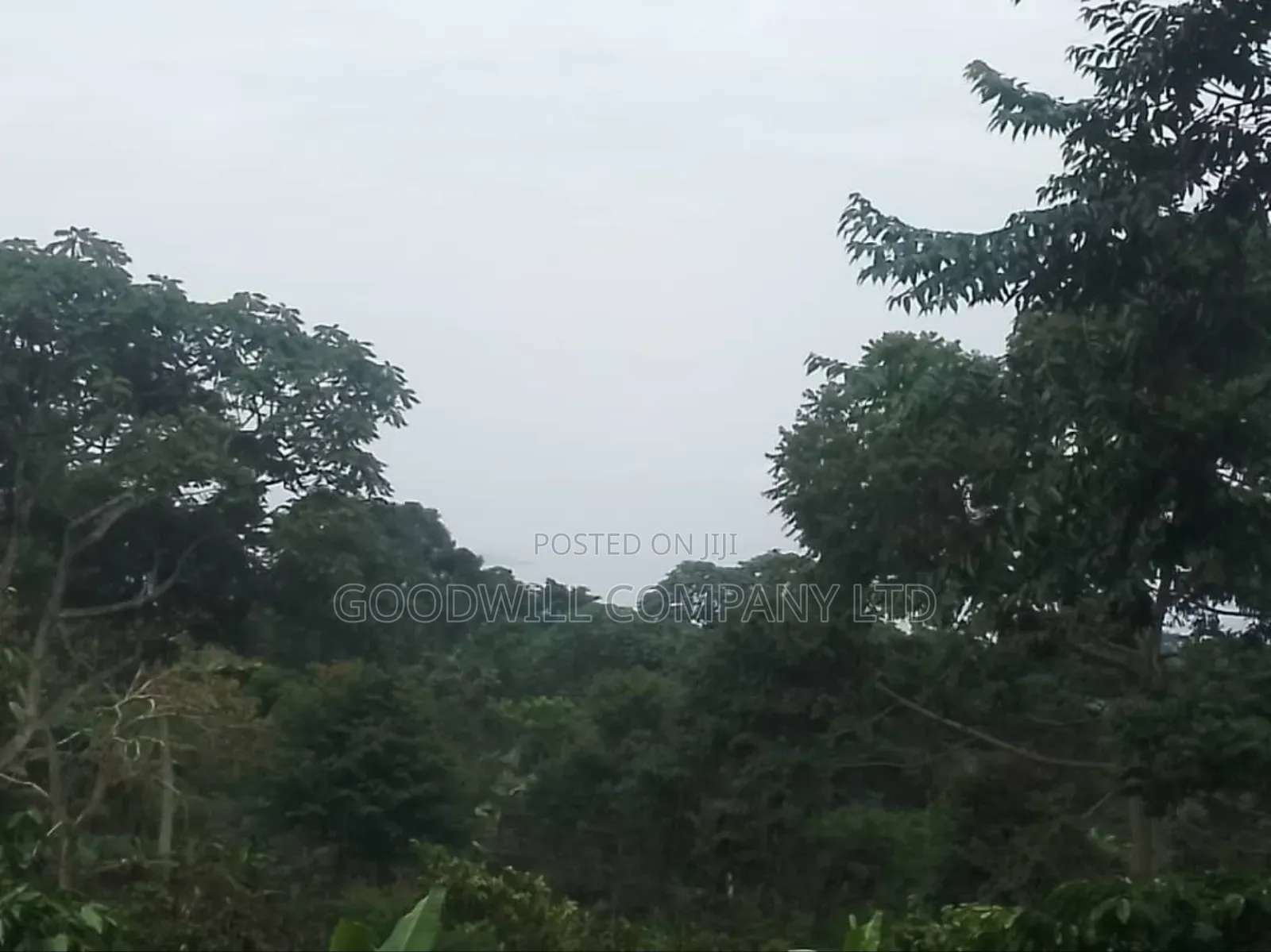 100 Acres of Land in Gaba -Ssi Nkokonjeru Private Milo Land Title