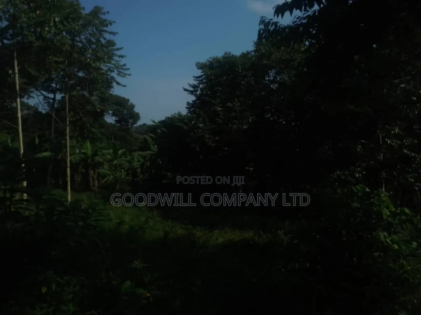 100 Acres of Land in Gaba -Ssi Nkokonjeru Private Milo Land Title