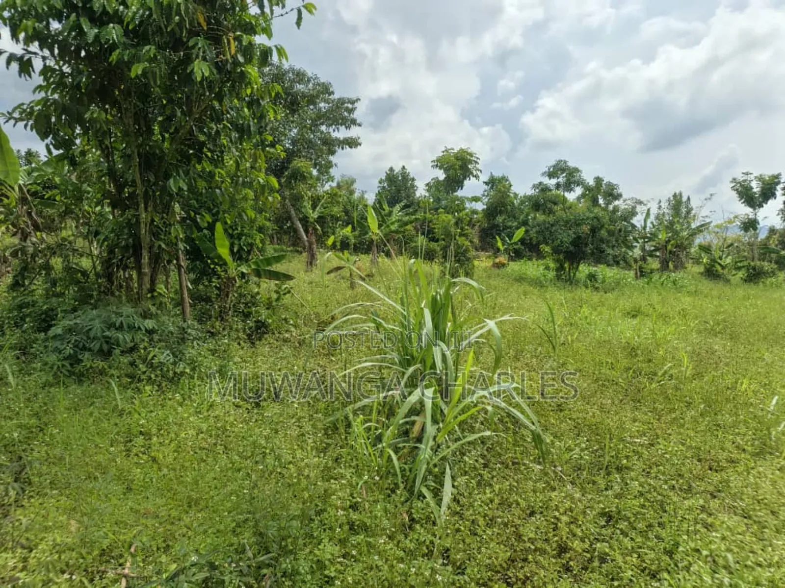 2acres on Sale in Kisoga Mukono