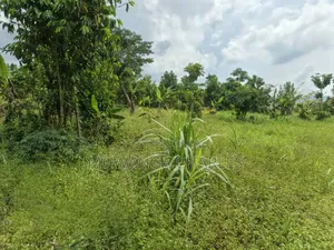 2acres on Sale in Kisoga Mukono