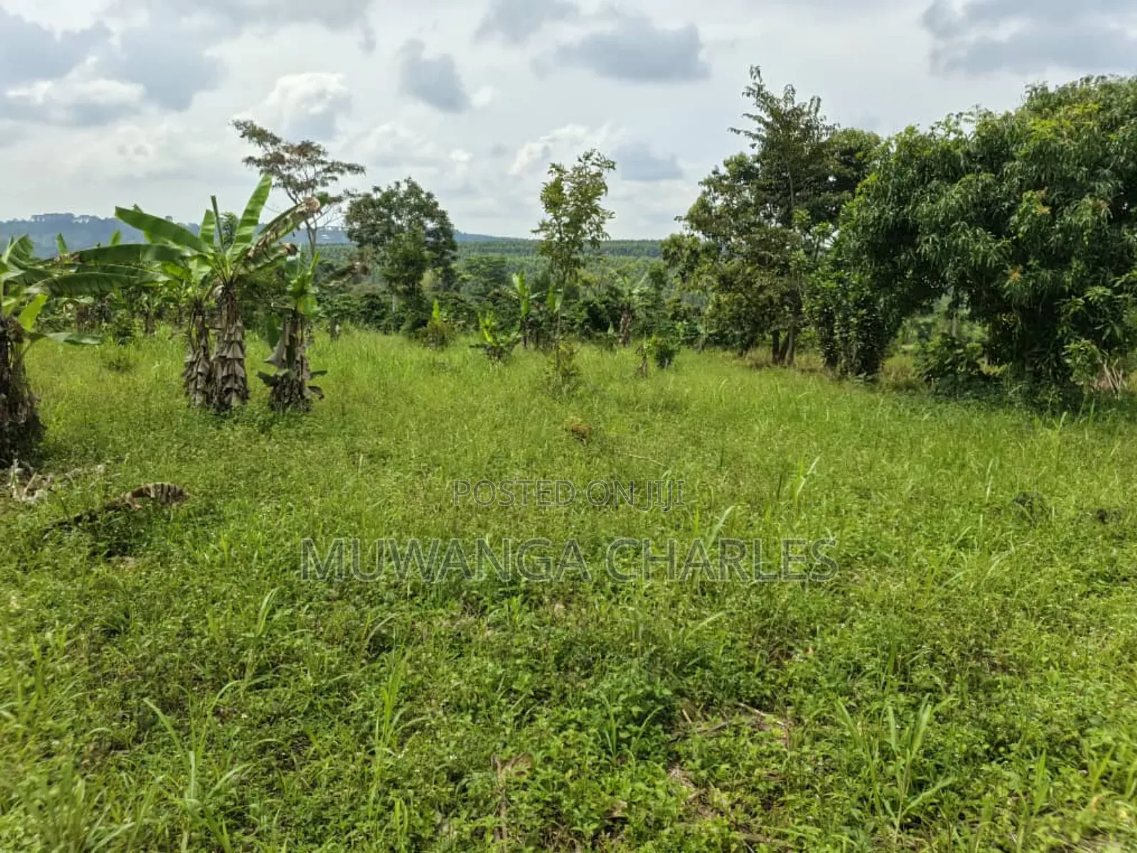2acres on Sale in Kisoga Mukono