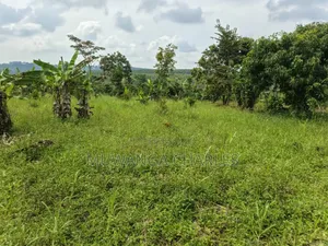2acres on Sale in Kisoga Mukono