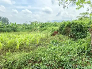2acres on Sale in Kisoga Mukono