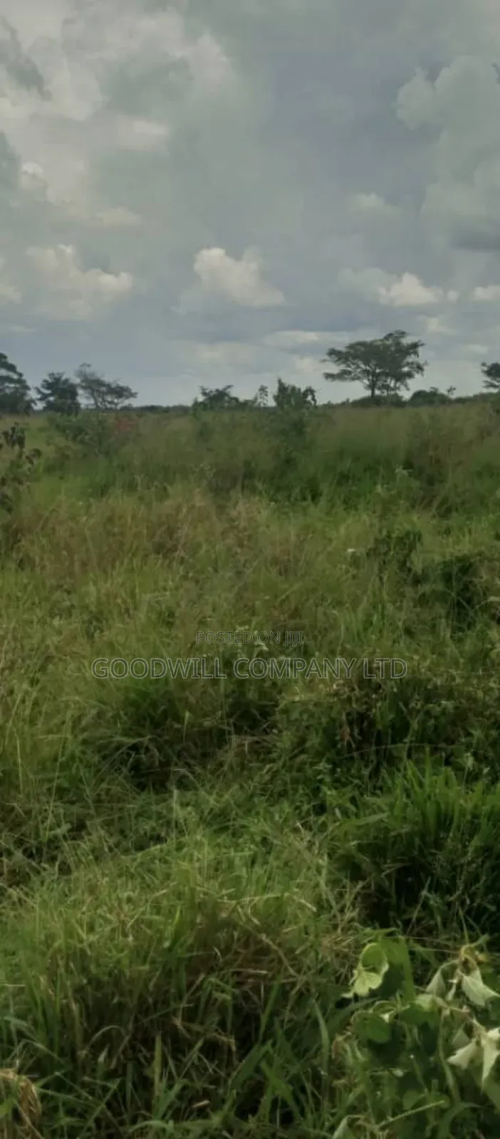 250 Acres of Land for Sale in Kabubu Nakaseke Private Mairo Land Title