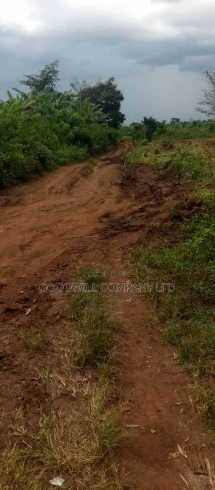250 Acres of Land for Sale in Kabubu Nakaseke Private Mairo Land Title