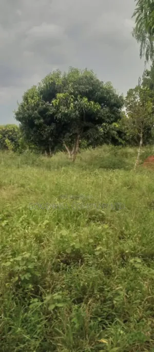 250 Acres of Land for Sale in Kabubu Nakaseke Private Mairo Land Title