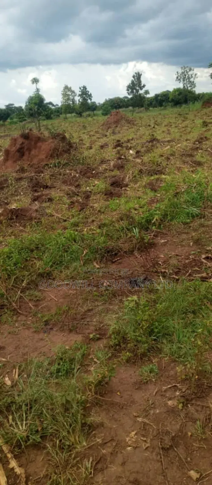 250 Acres of Land for Sale in Kabubu Nakaseke Private Mairo Land Title