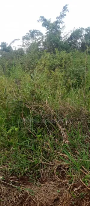 10 Acres of Land on Sale at Luwero Galikworeka