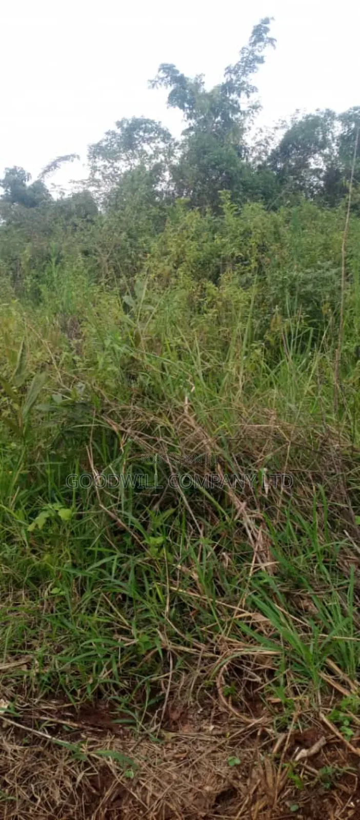 10 Acres of Land on Sale at Luwero Galikworeka