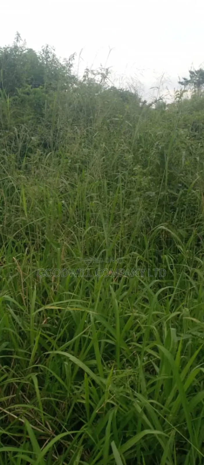 10 Acres of Land on Sale at Luwero Galikworeka