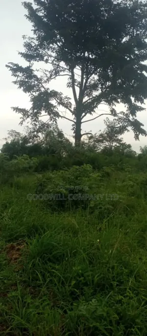 10 Acres of Land on Sale at Luwero Galikworeka