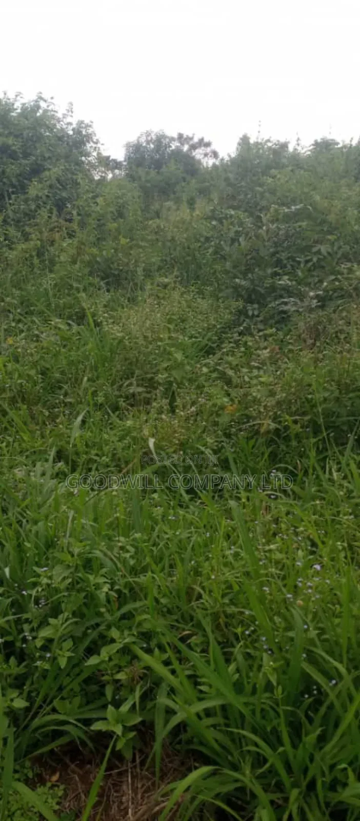 10 Acres of Land on Sale at Luwero Galikworeka