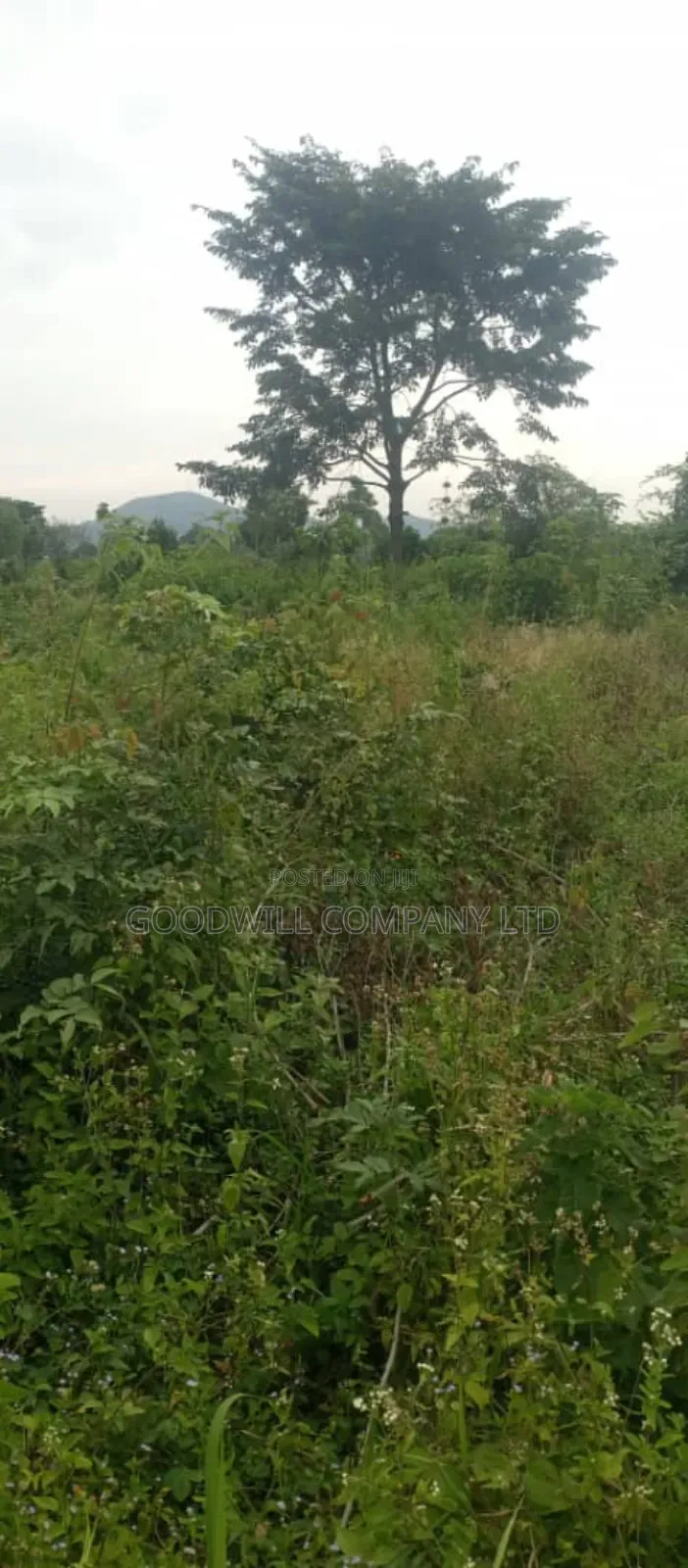 10 Acres of Land on Sale at Luwero Galikworeka