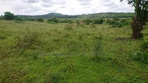 100 Acres of Land Mpigi Masaka Road, 60km From Kla,
3km Off Tarmac.
