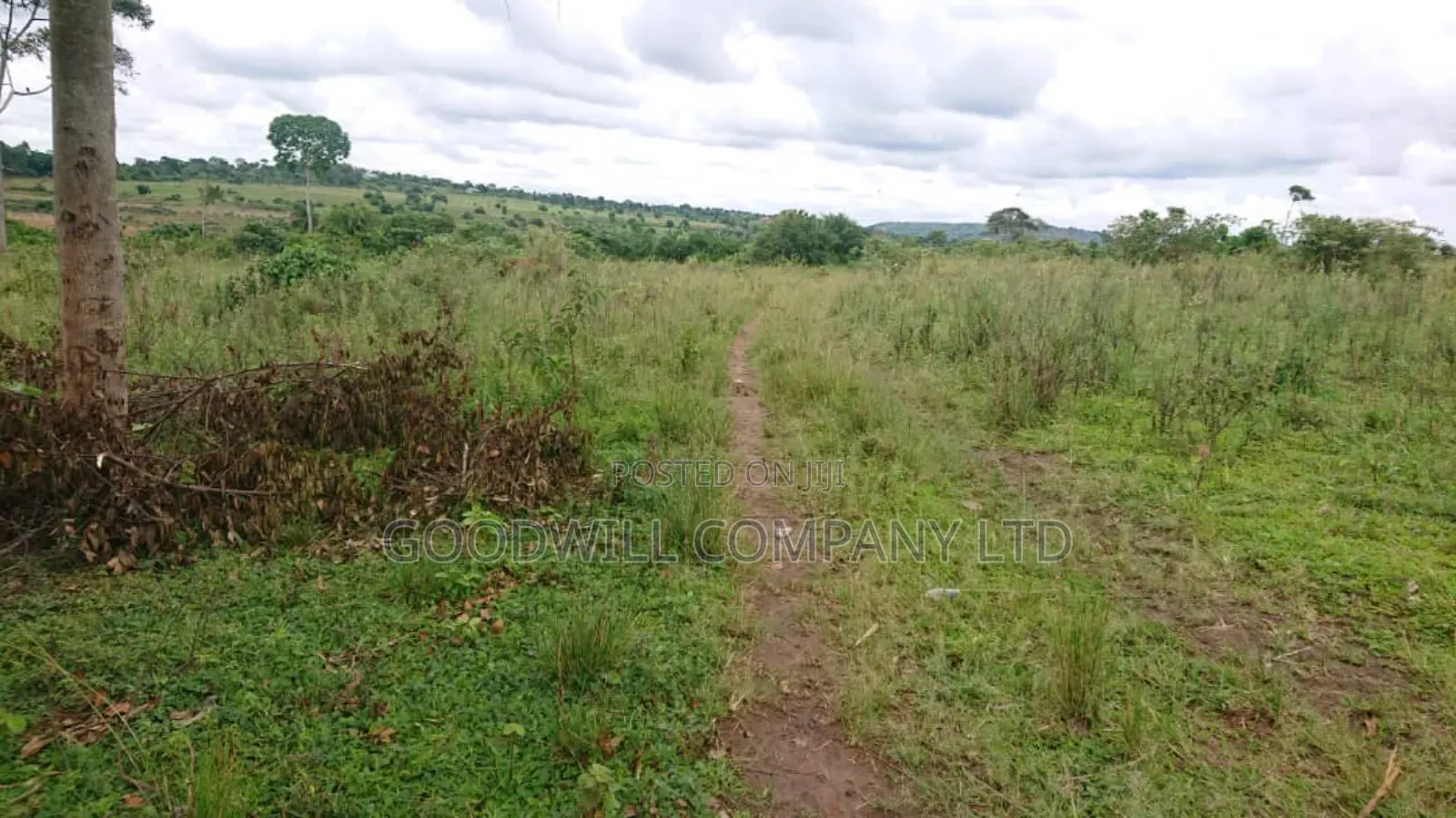 100 Acres of Land Mpigi Masaka Road, 60km From Kla,
3km Off Tarmac.