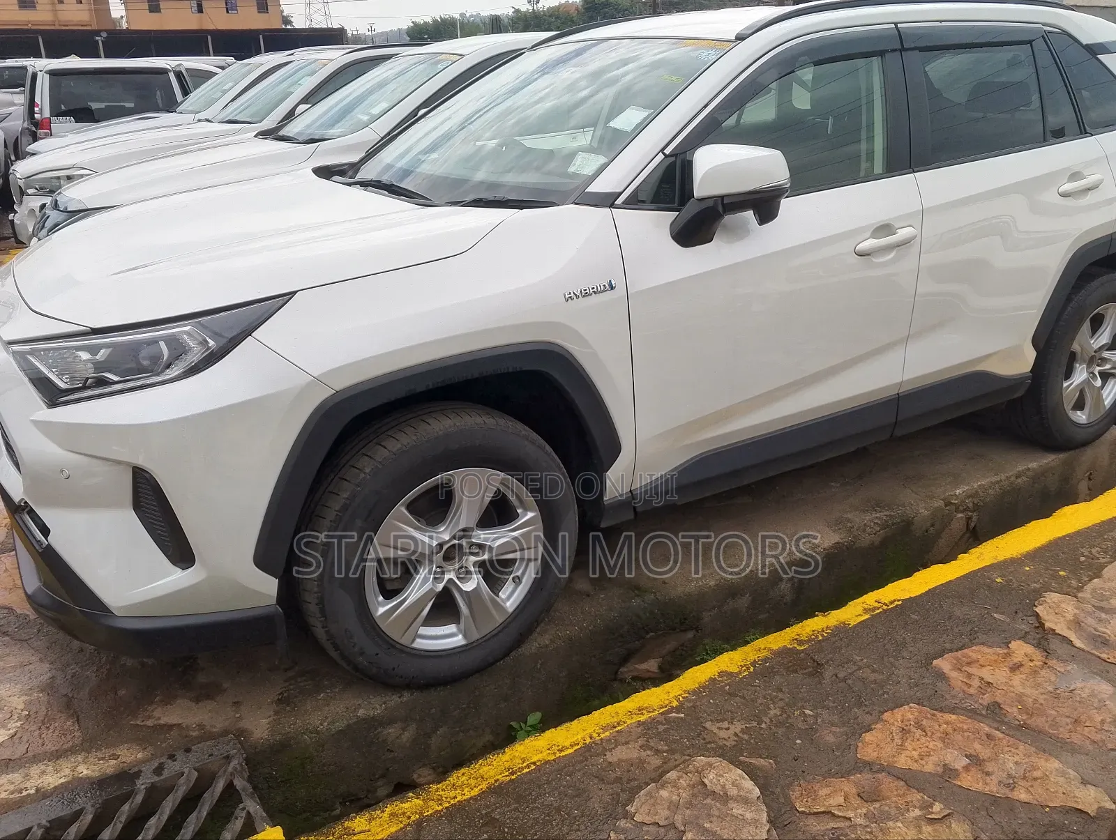Toyota RAV4 XLE Premium AWD 2019 White