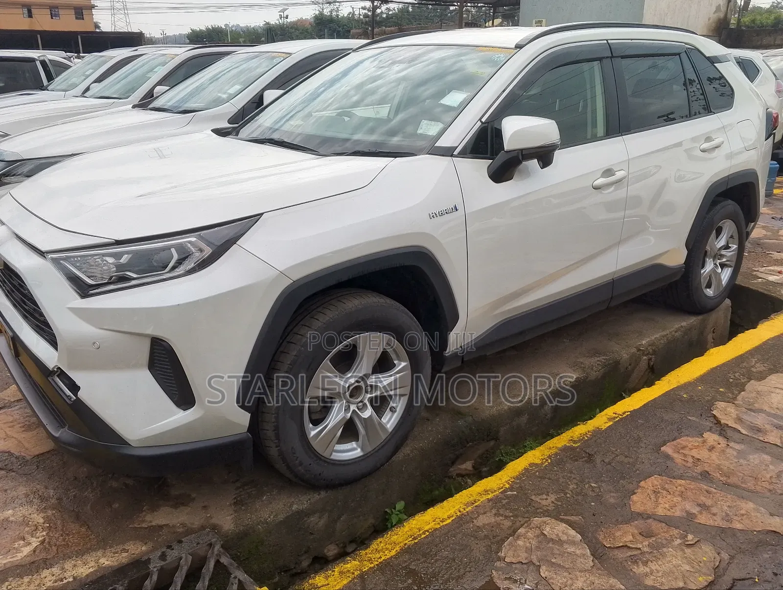 Toyota RAV4 XLE Premium AWD 2019 White