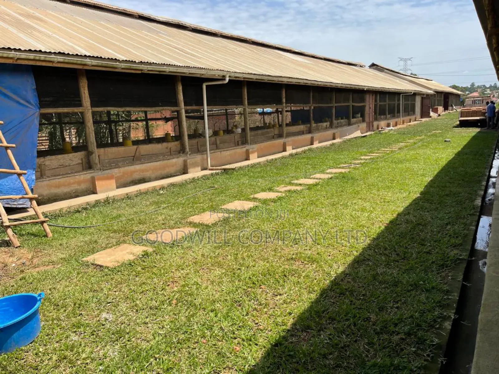 3 Acres of Farm Land With, Home House, Paltry House, Banana Plantation