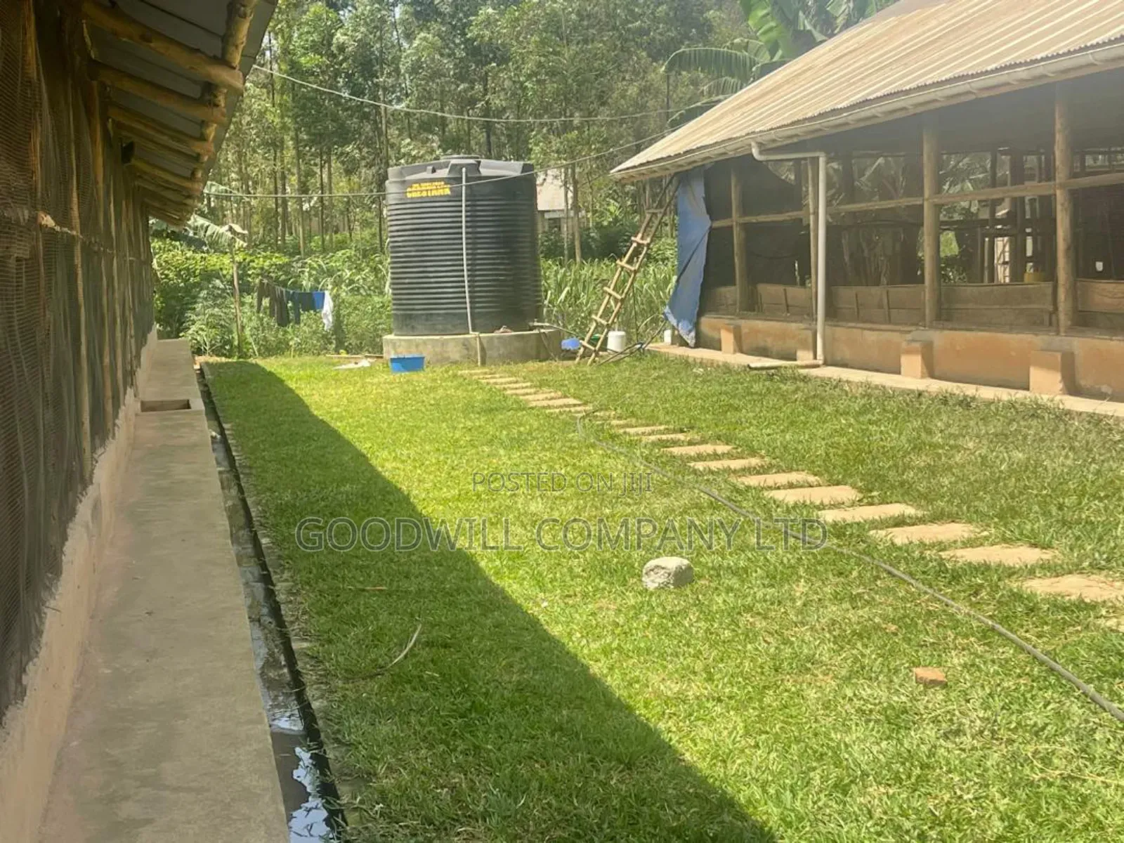 3 Acres of Farm Land With, Home House, Paltry House, Banana Plantation