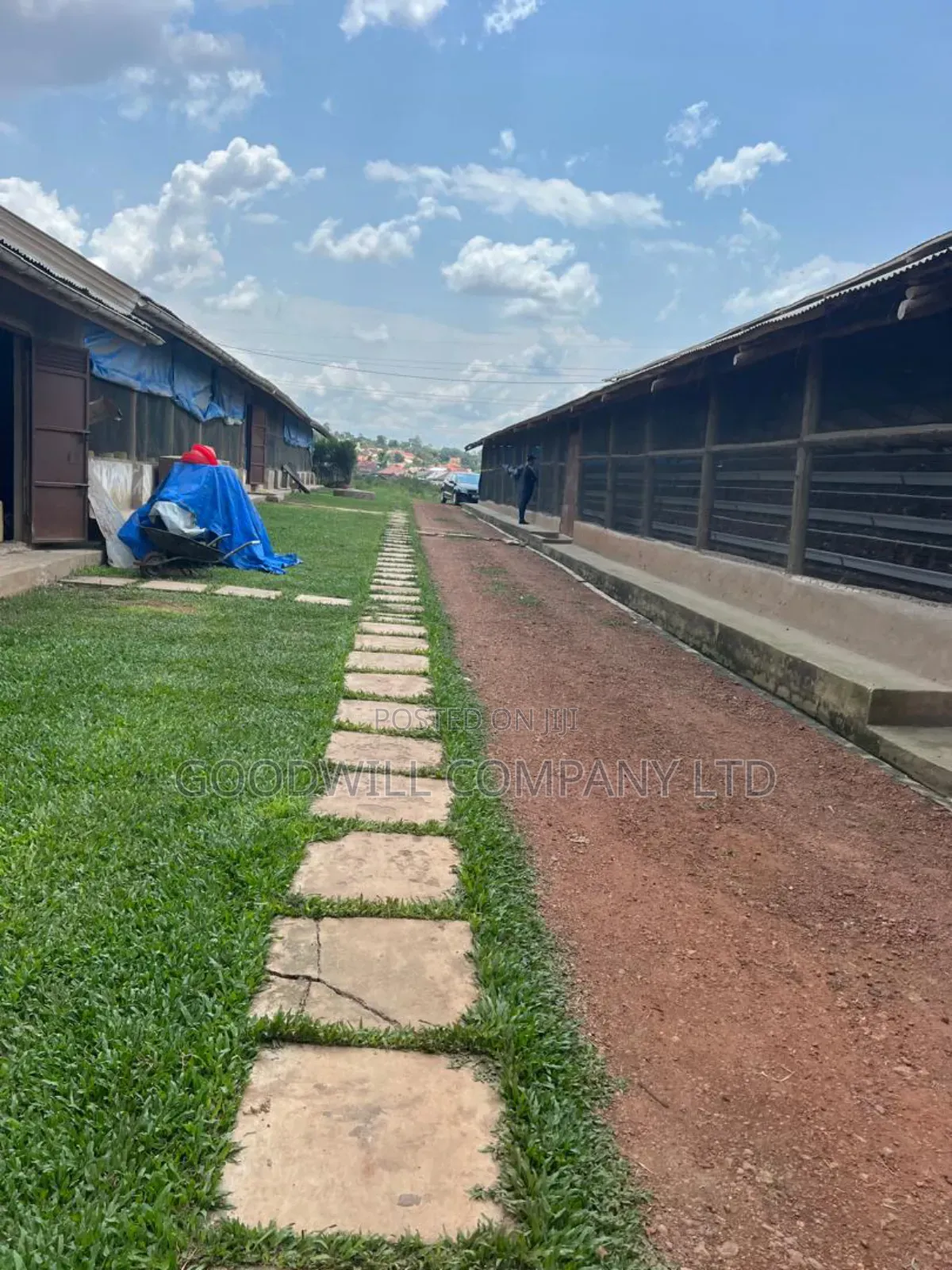 3 Acres of Farm Land With, Home House, Paltry House, Banana Plantation
