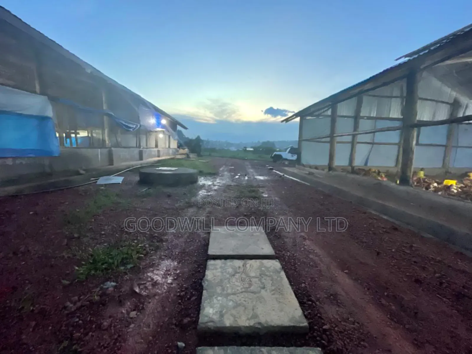 3 Acres of Farm Land With, Home House, Paltry House, Banana Plantation
