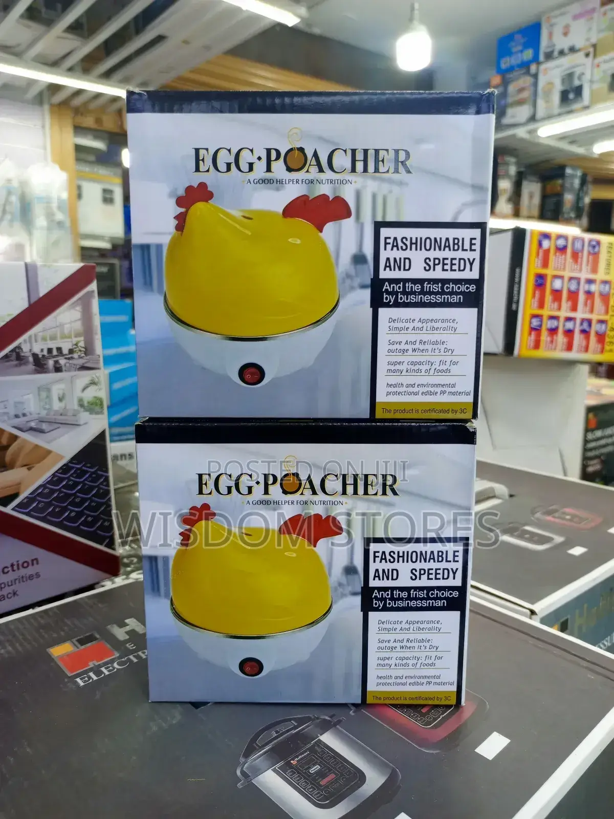 Mini Electric Egg Boiler
