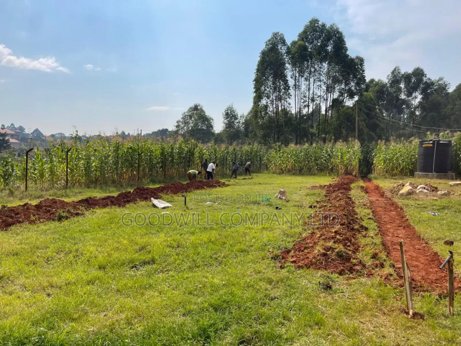 3 Acres of Farm Land With, Home House, Paltry House, Banana Plantation