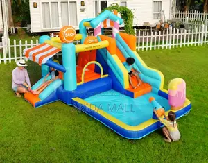 Dr.Dolphin Inflatable Water Bouncing Castle WTH a Water Slide Blower