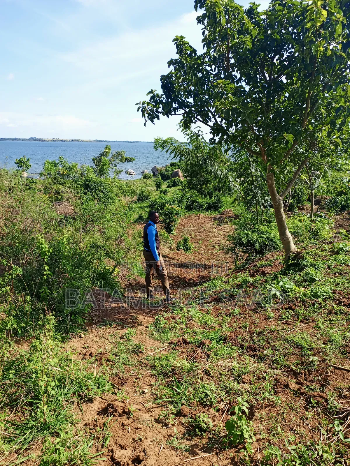7 Acres of Land on the Lake Shores
