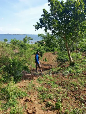 7 Acres of Land on the Lake Shores