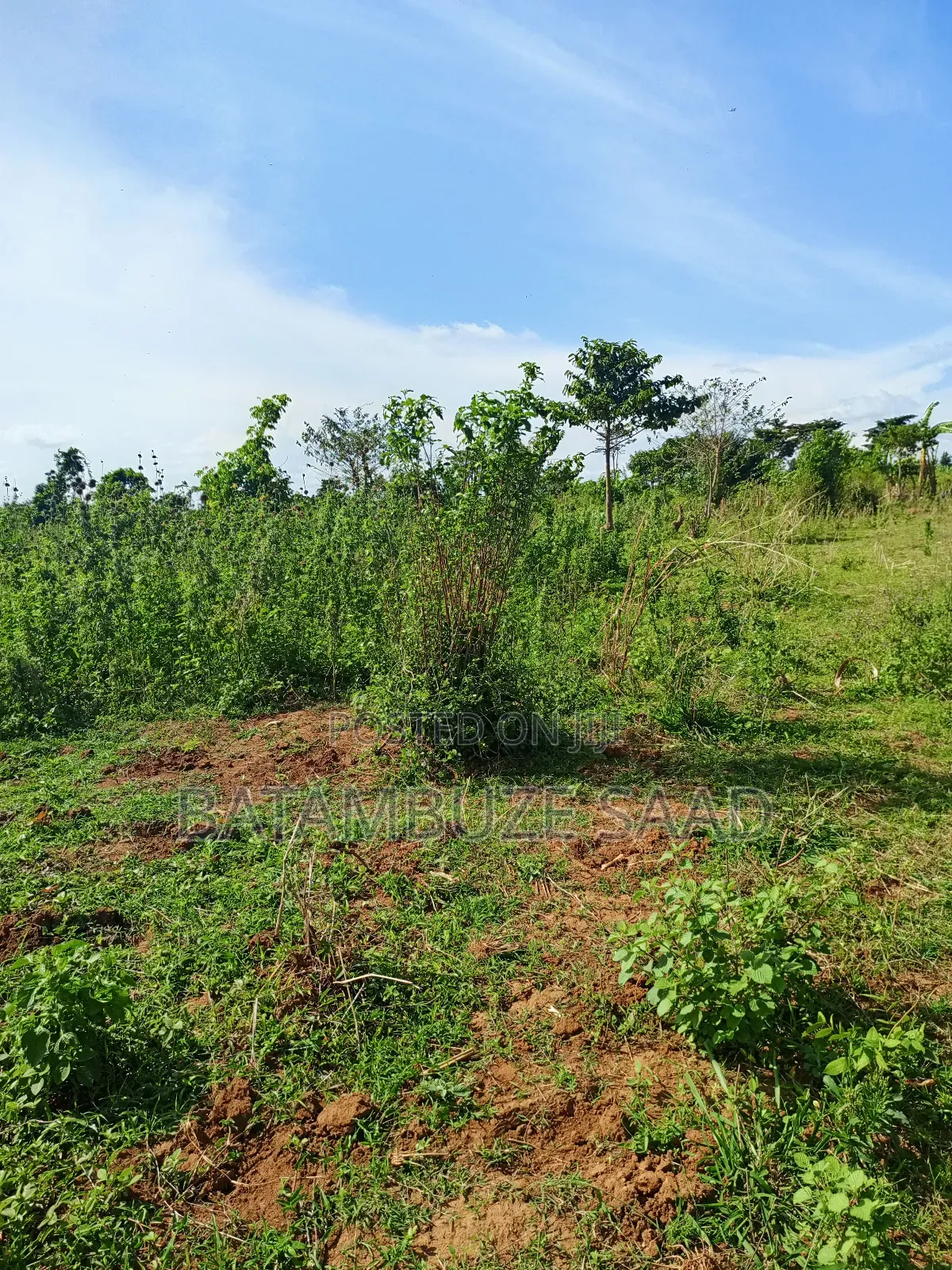 7 Acres of Land on the Lake Shores