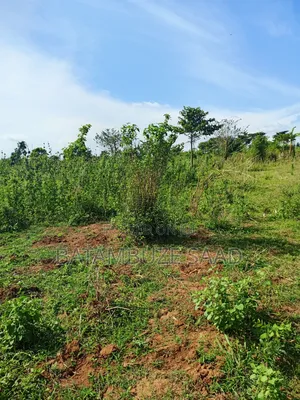 7 Acres of Land on the Lake Shores