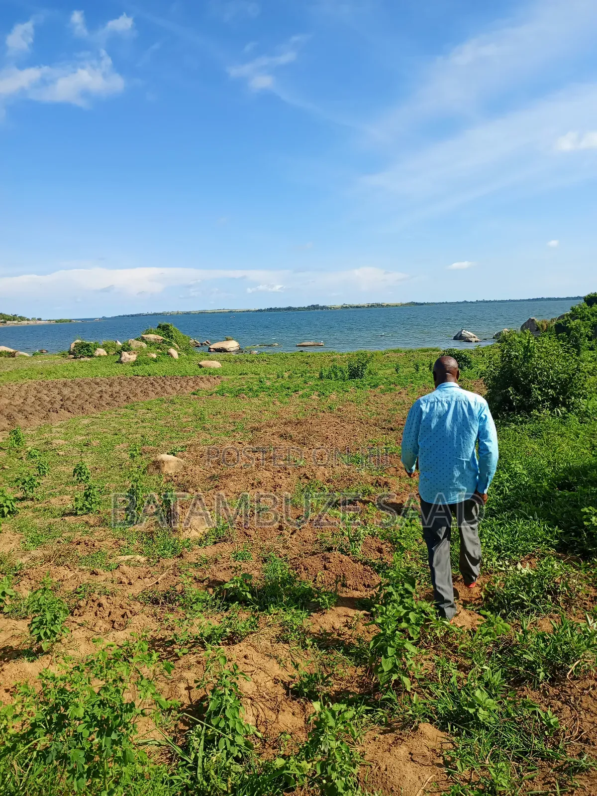 7 Acres of Land on the Lake Shores