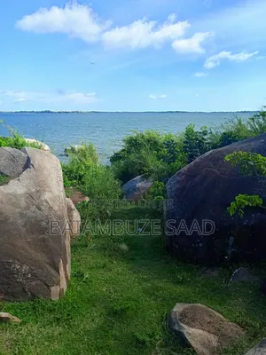 7 Acres of Land on the Lake Shores