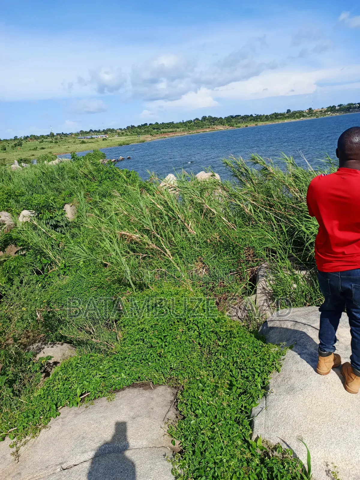 7 Acres of Land on the Lake Shores