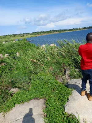 7 Acres of Land on the Lake Shores