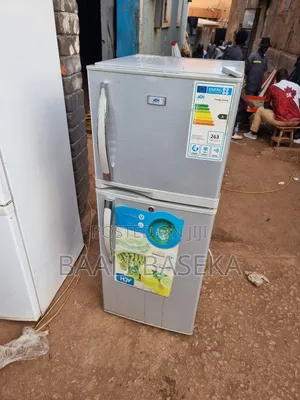 Kind Fridge Repairing Man