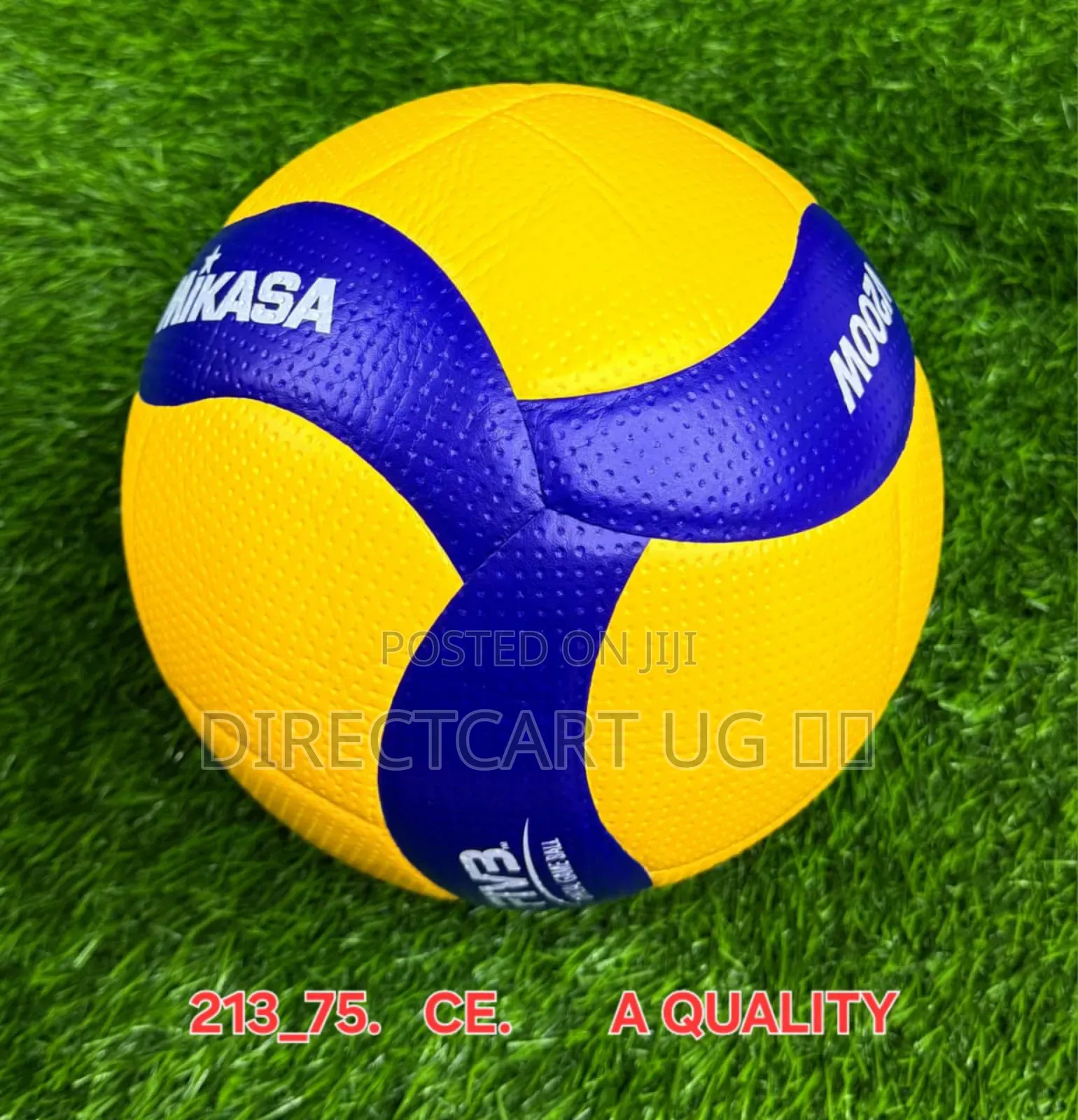 Volleyball
