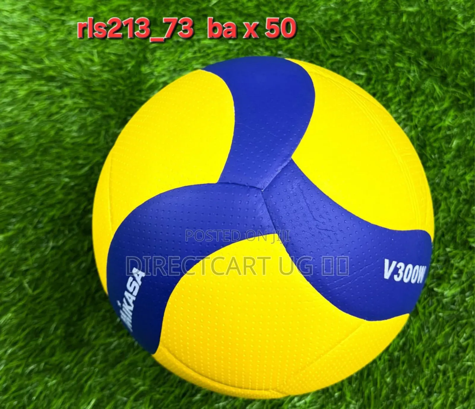 Volleyball