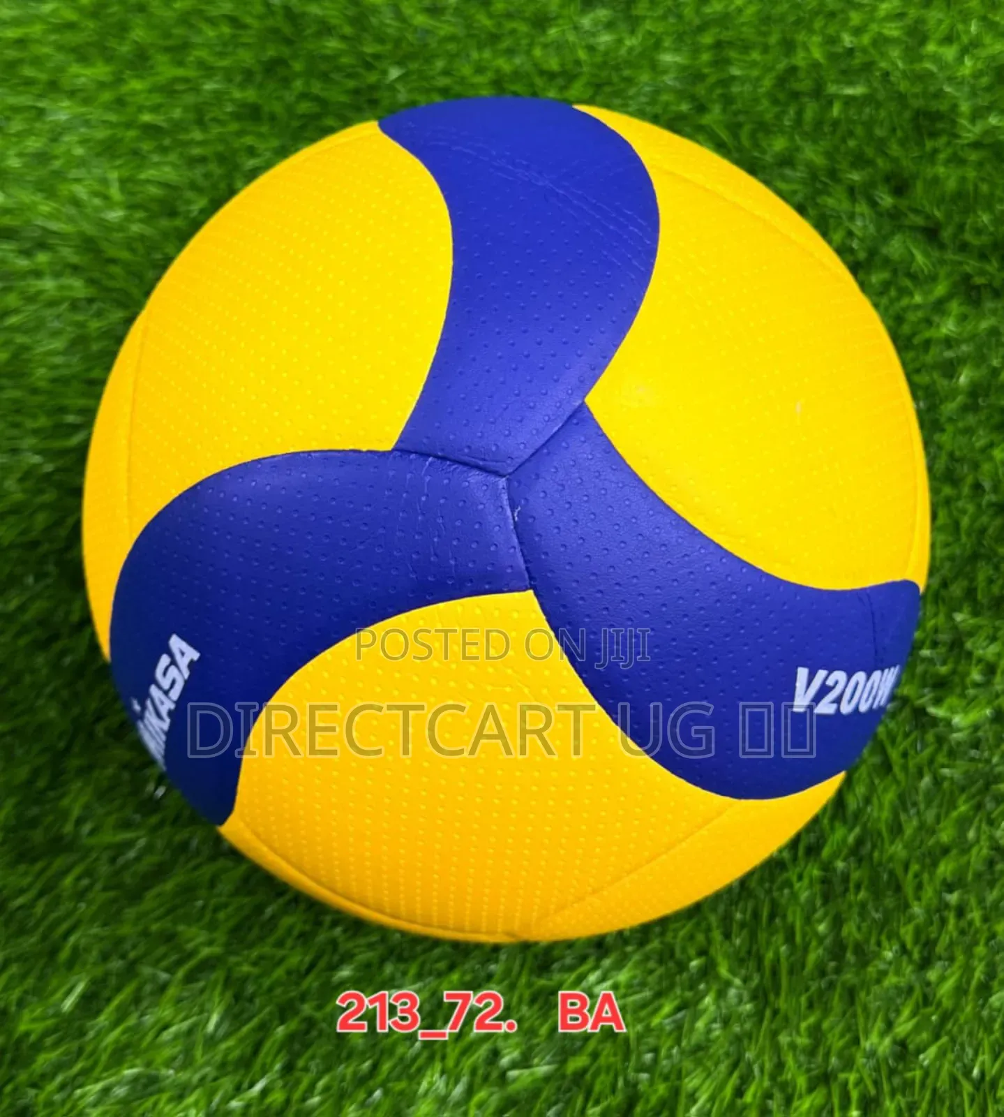 Volleyball
