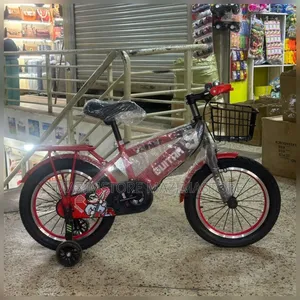 New Kids Bicycle