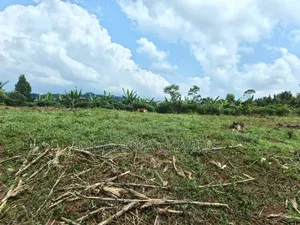 Land on Sale in Bombo Kalule